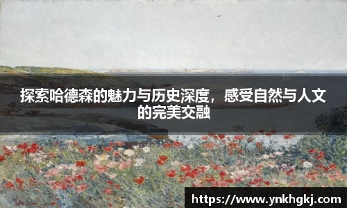 必一运动bsport体育